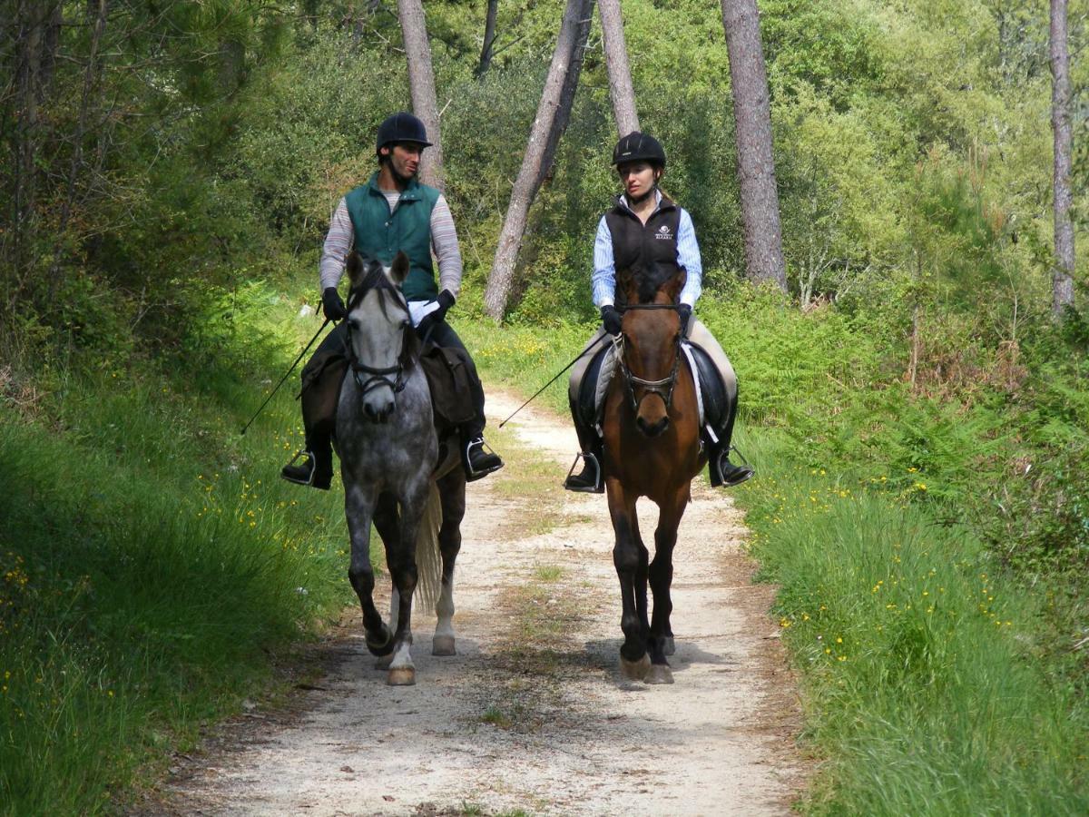Villas De Aire Country Houses Mira  Esterno foto